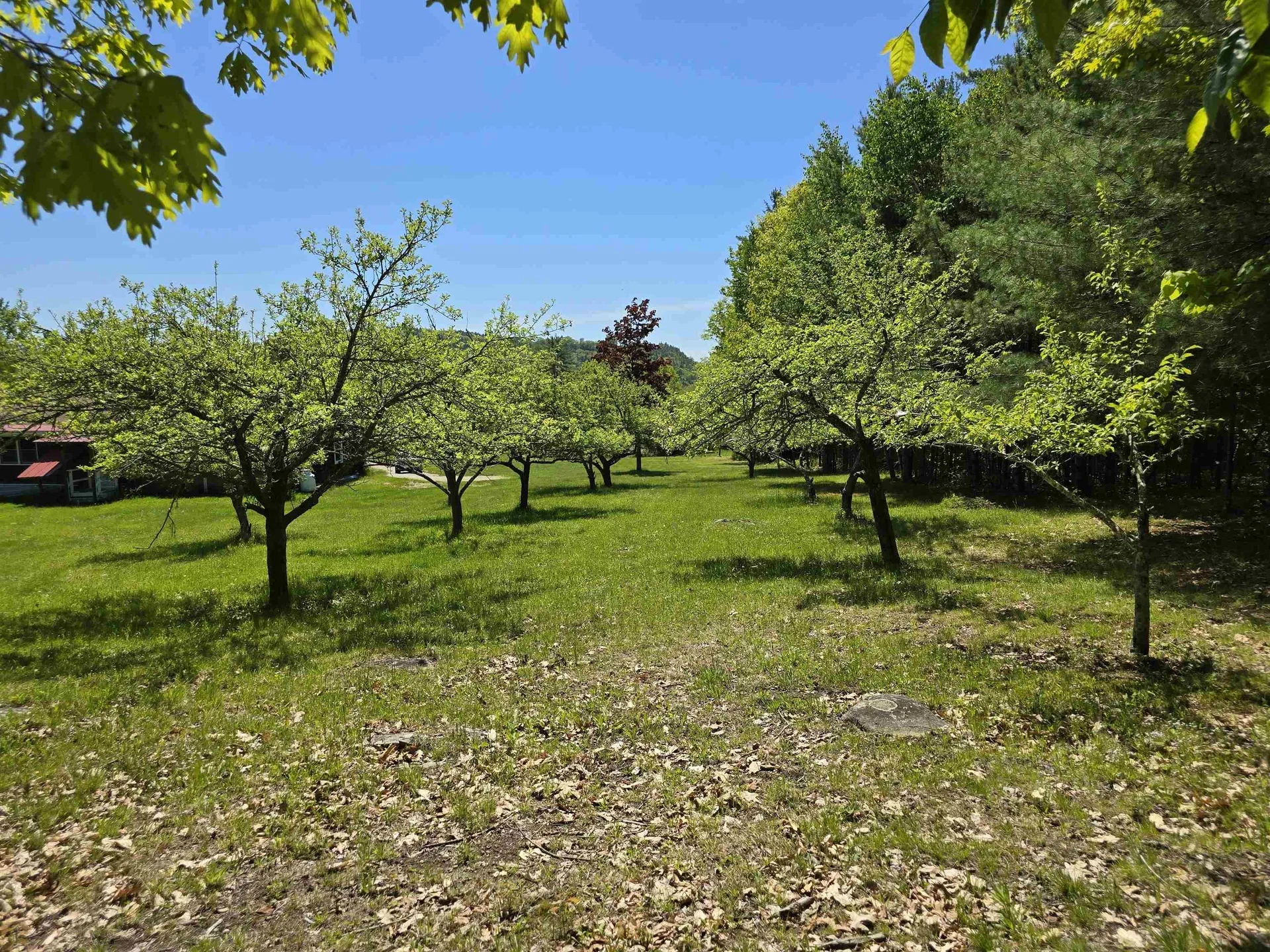 2535 Lovell Lake Road Wakefield NH 03872