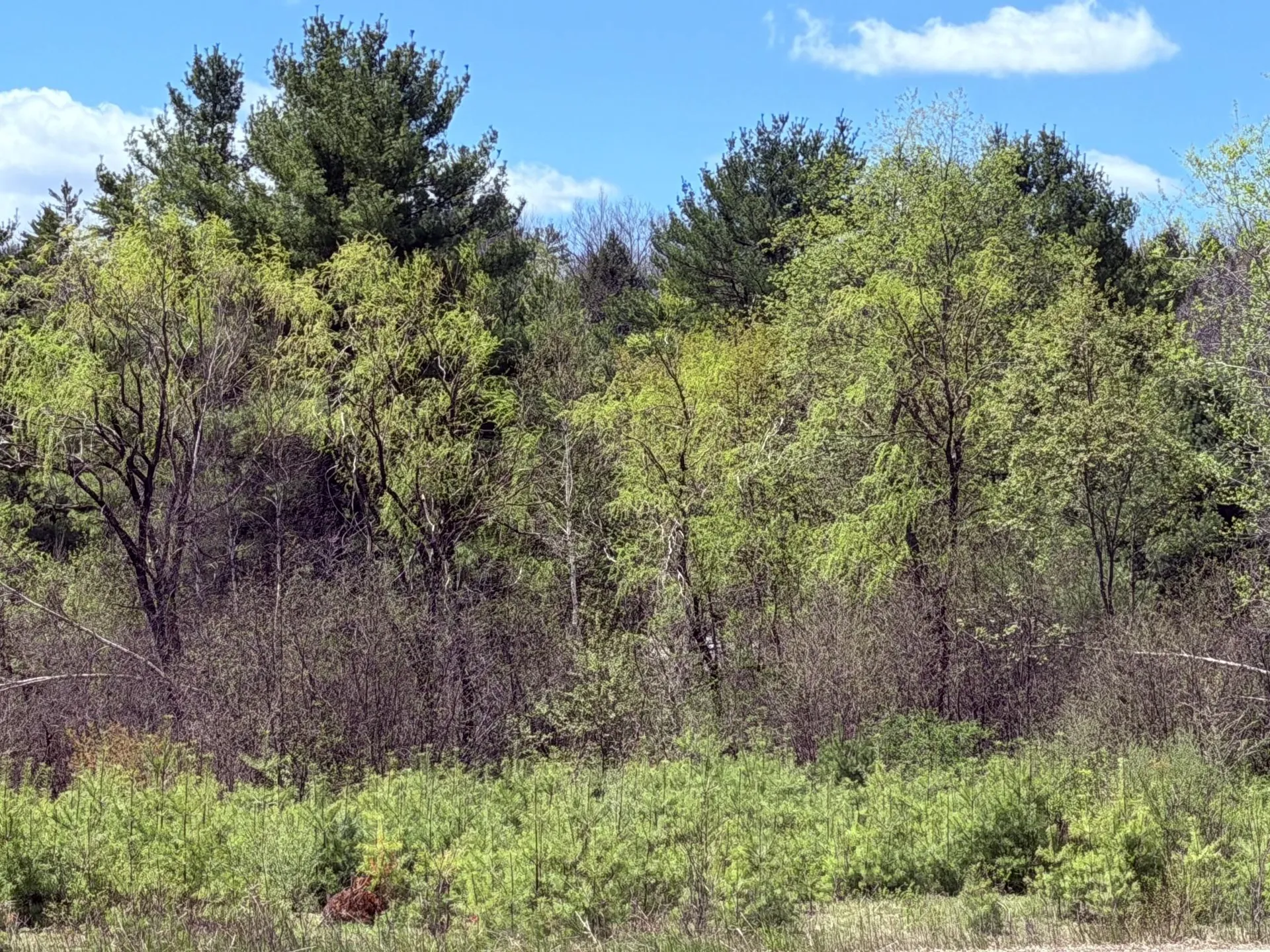 736 John Stark Highway Newport NH 03773