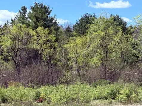 736 John Stark Highway Newport NH 03773