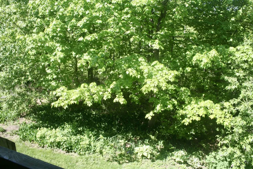 26 Bayberry Lane South Burlington VT 05403