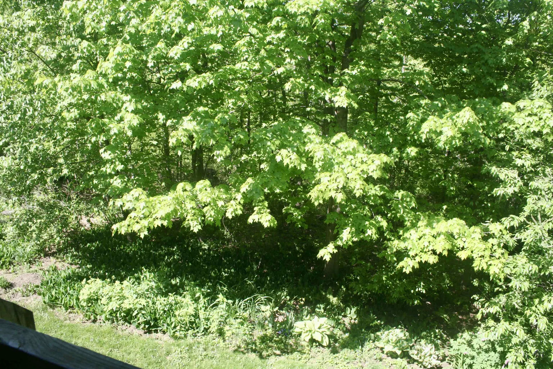 26 Bayberry Lane South Burlington VT 05403
