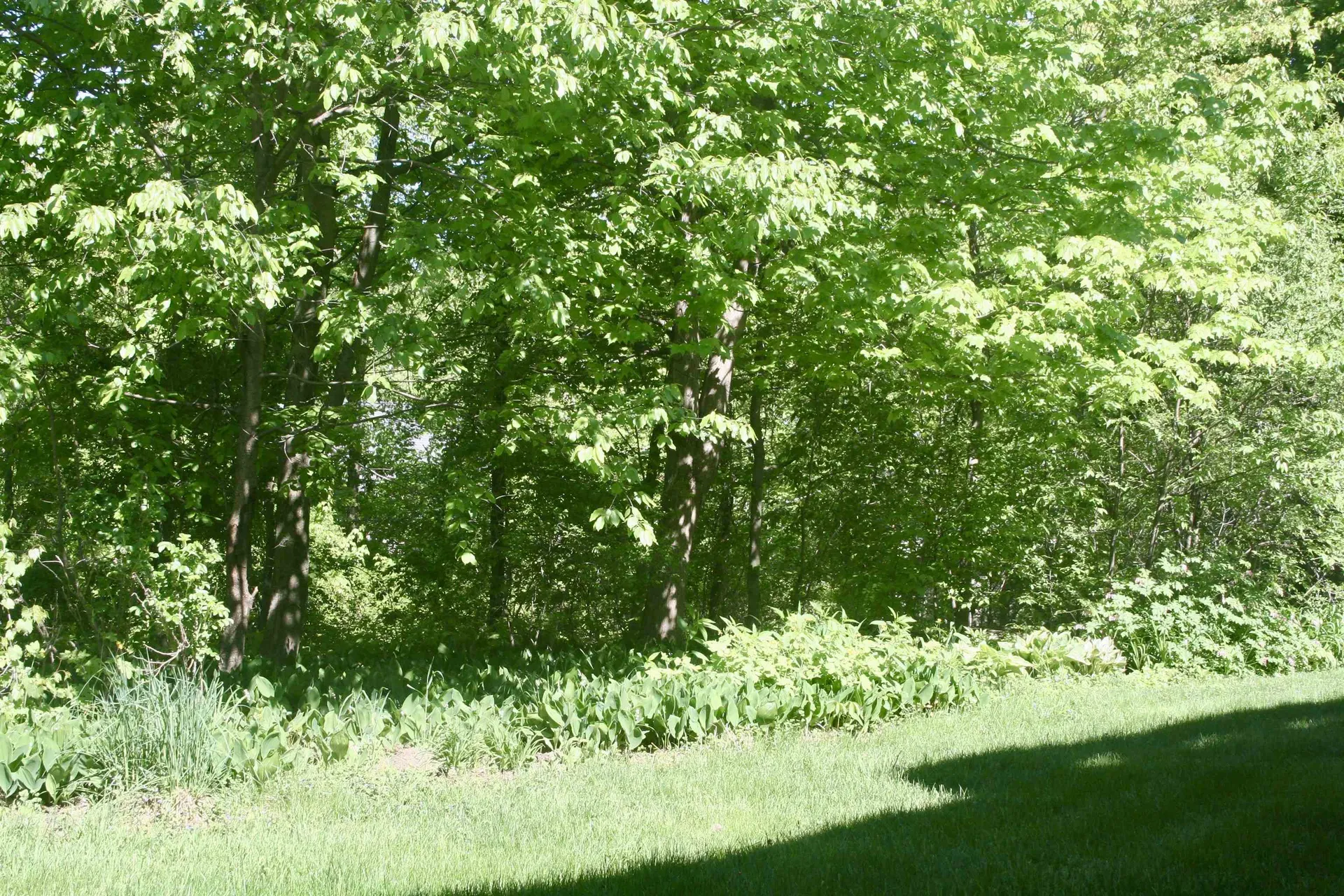 26 Bayberry Lane South Burlington VT 05403