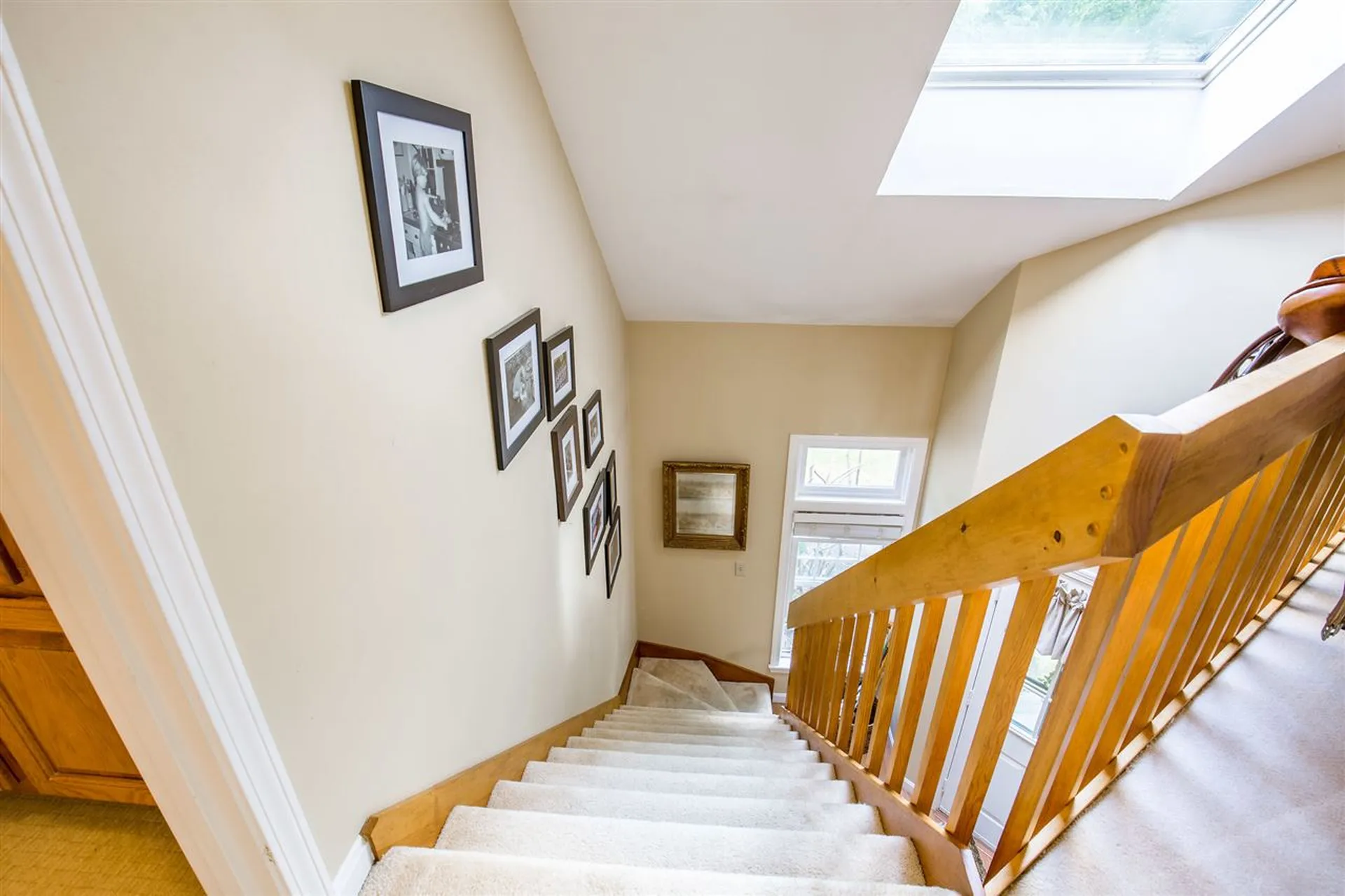 3 Troon Terrace Holderness NH 03245