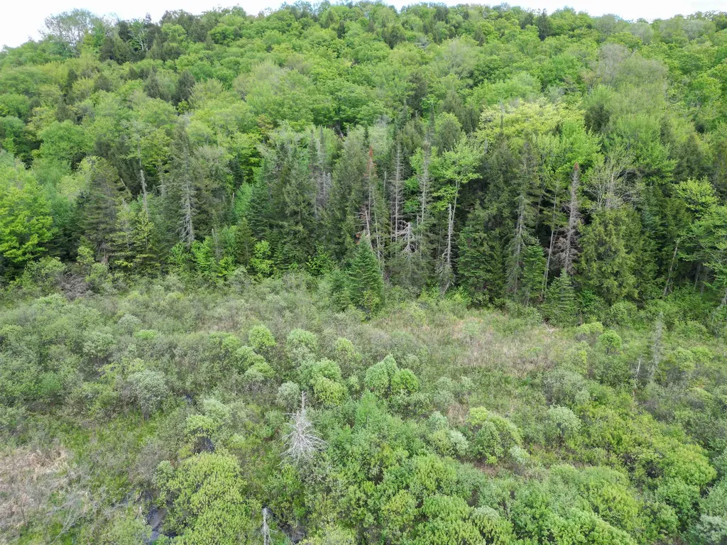 4823 Swamp Road Newbury VT 05051