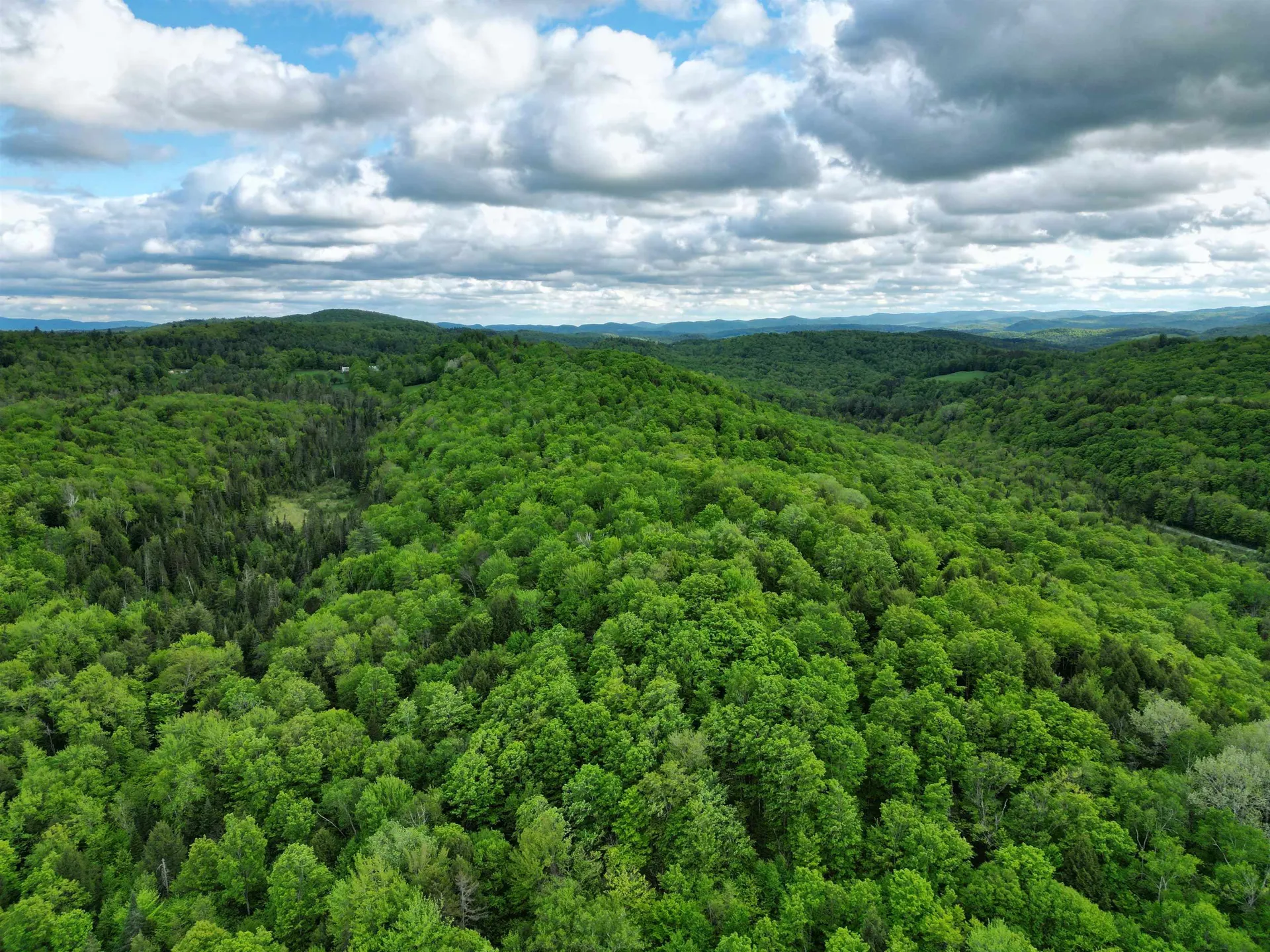 4823 Swamp Road Newbury VT 05051
