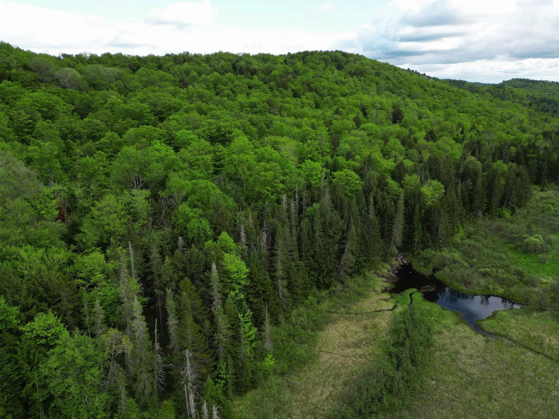 4823 Swamp Road Newbury VT 05051