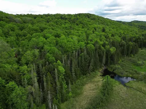 4823 Swamp Road Newbury VT 05051