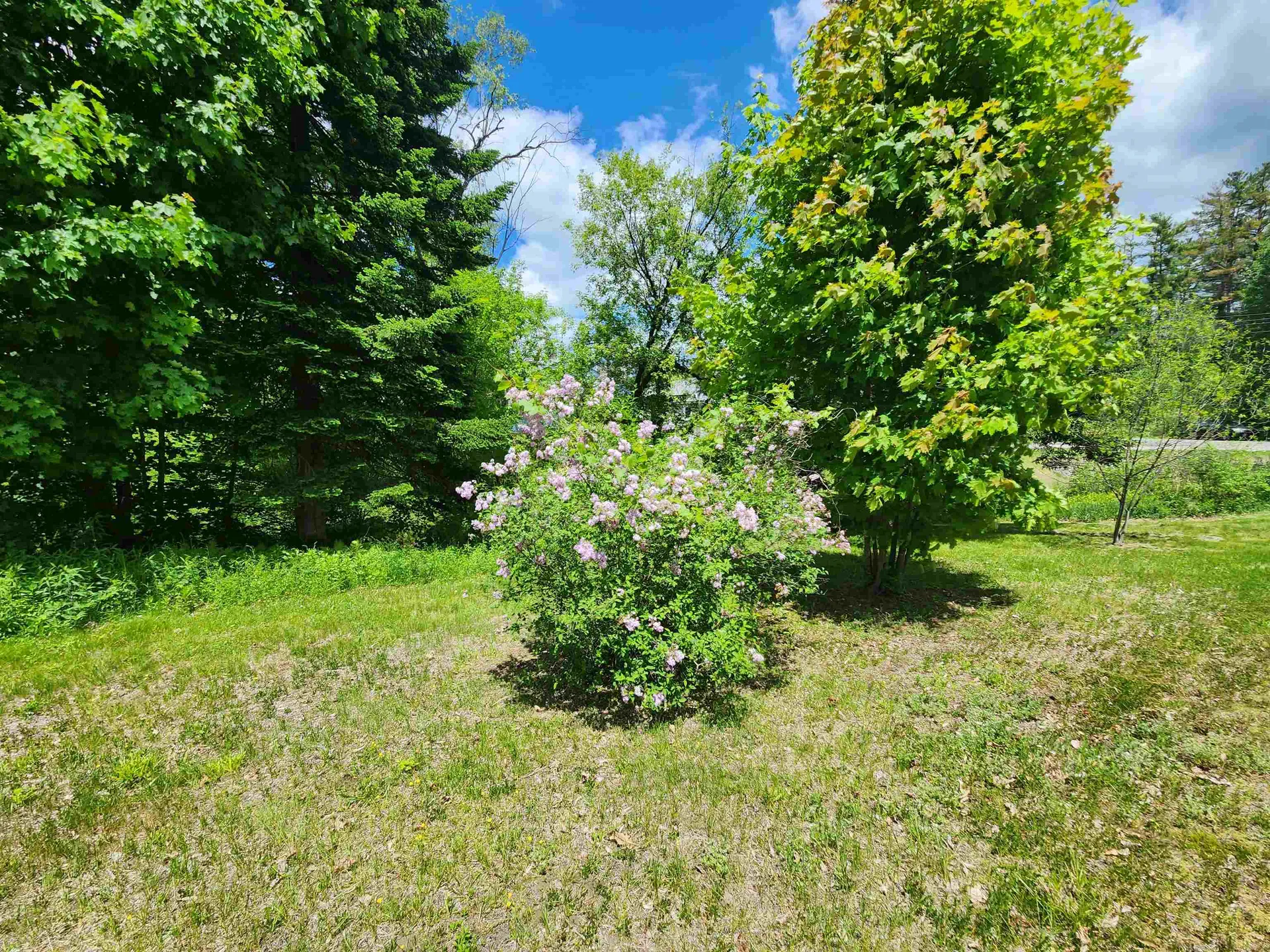 0 Freeman Avenue Lebanon NH 03766