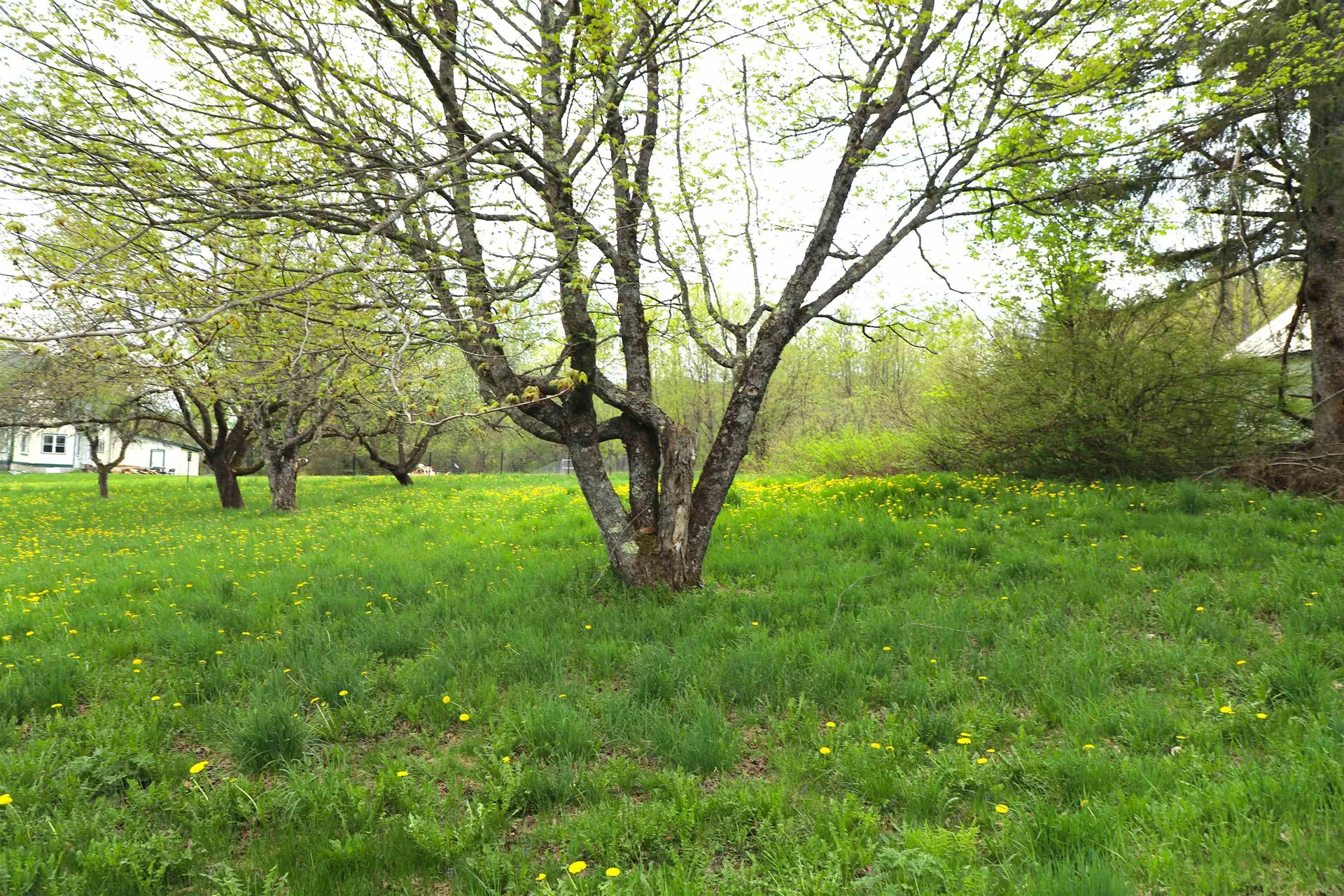 1760 Wheelock Road Sutton VT 05867