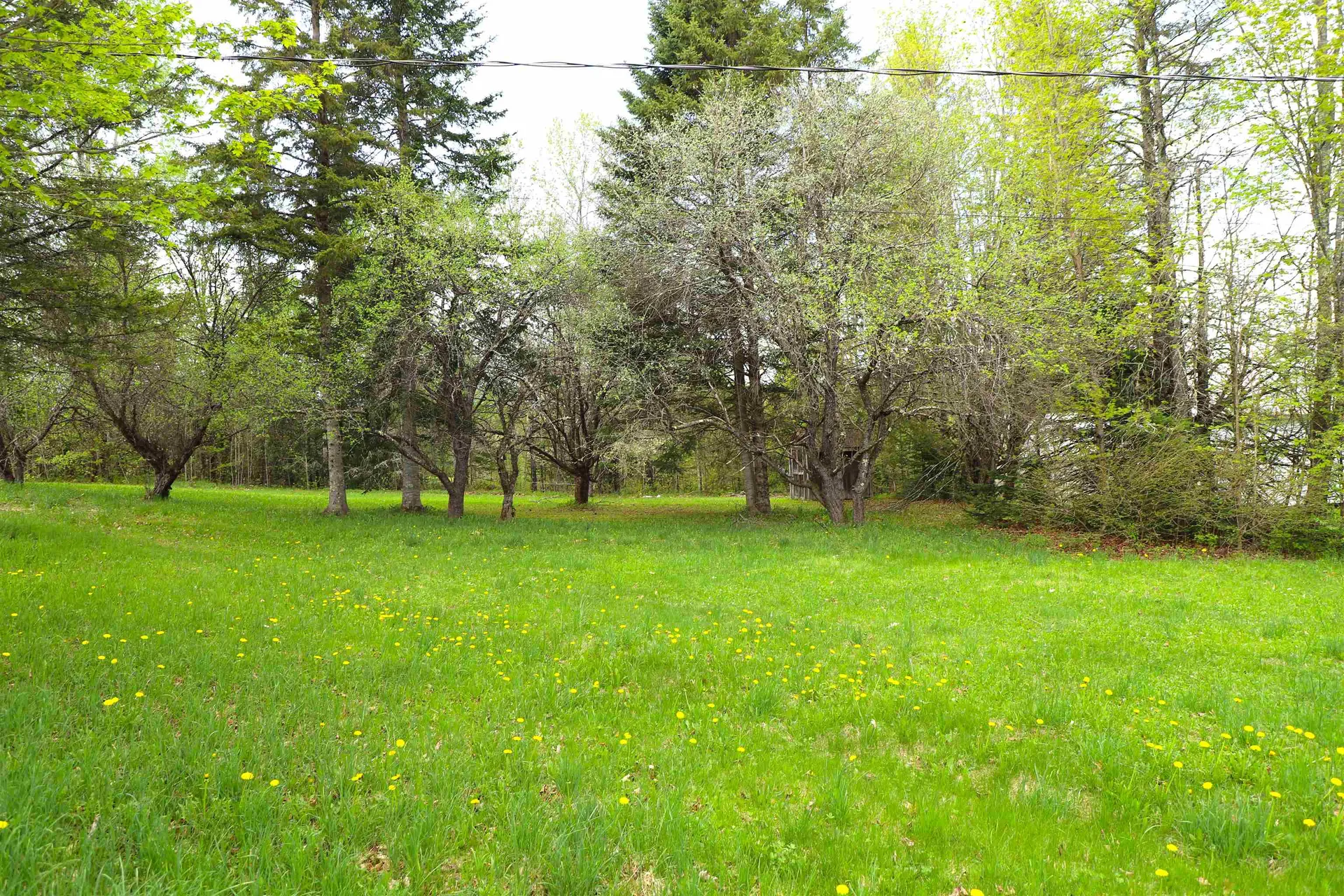 1760 Wheelock Road Sutton VT 05867
