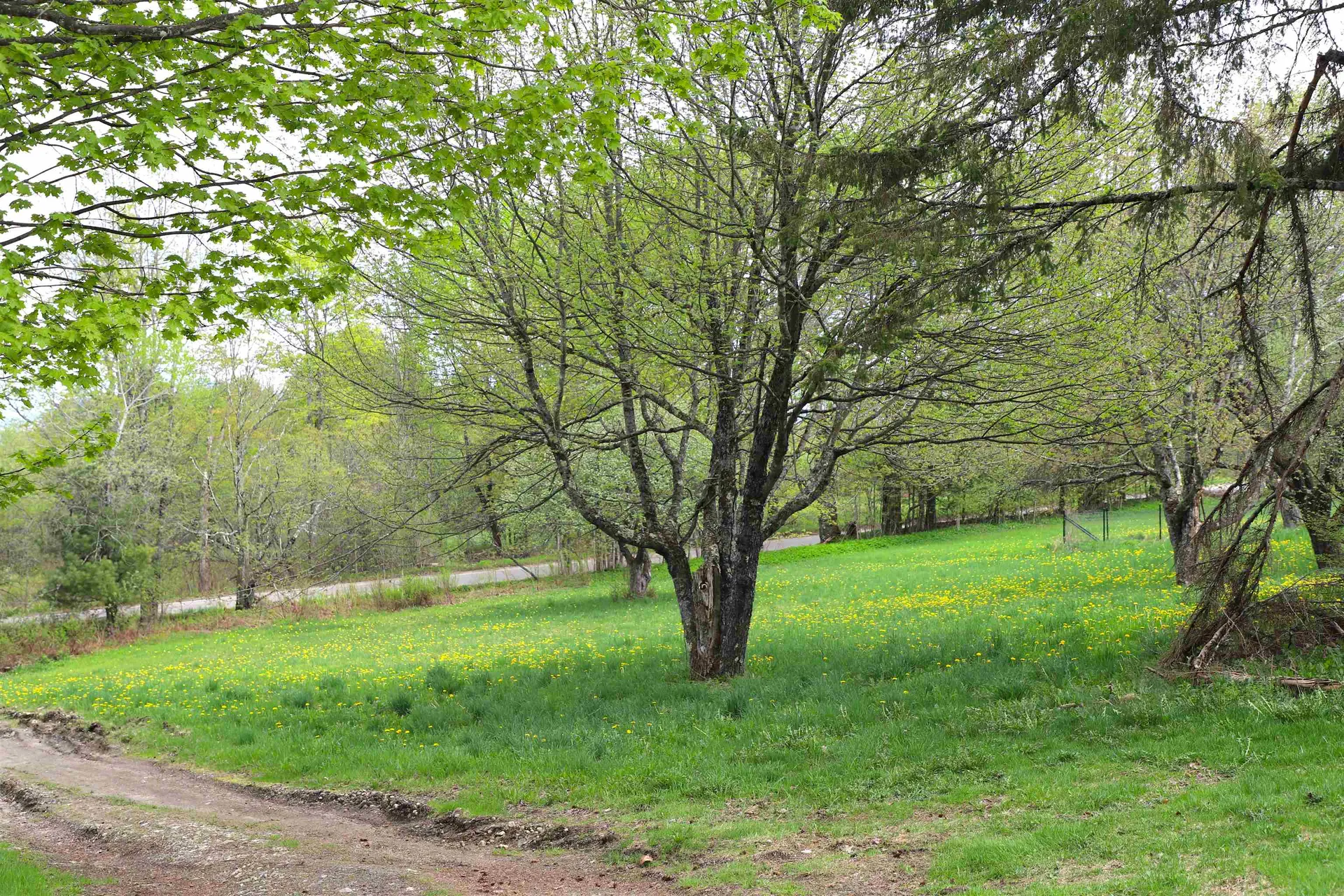 1760 Wheelock Road Sutton VT 05867