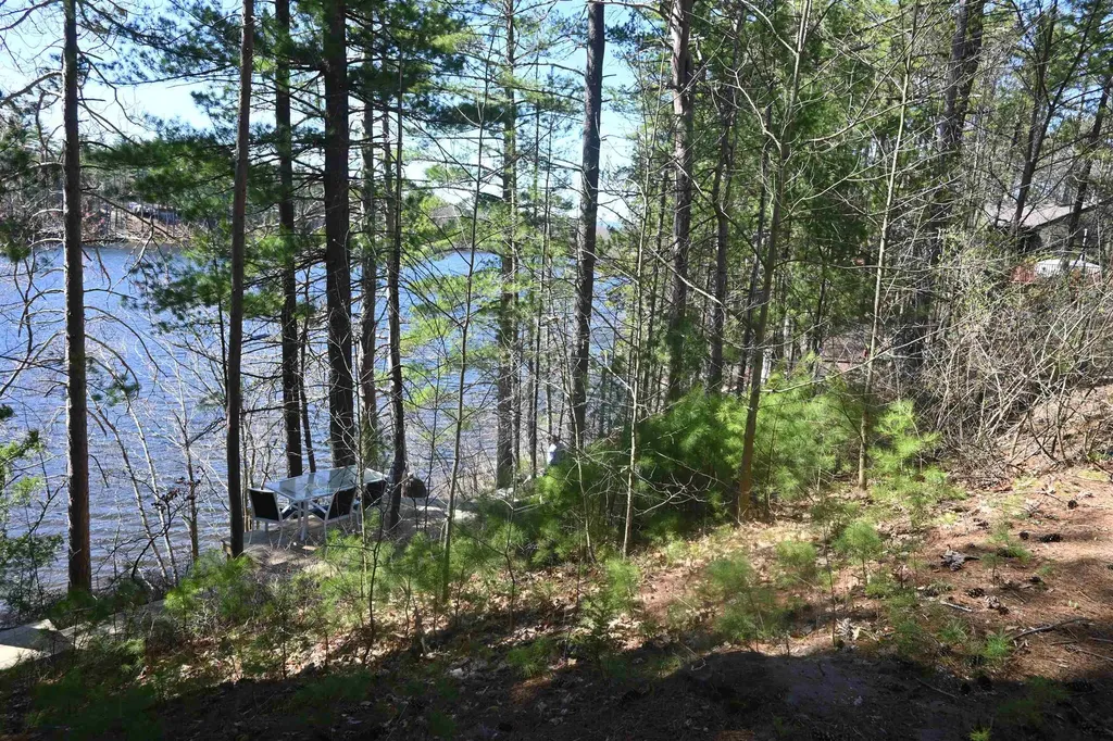55 61 Dimond Lane Warner NH 03278