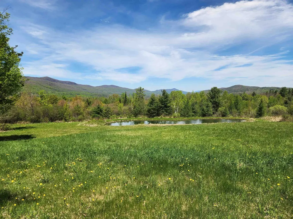 3517 Colvin Hill Road Danby VT 05739