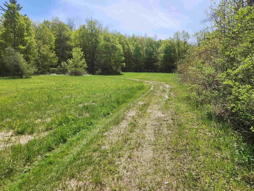 3517 Colvin Hill Road Danby VT 05739