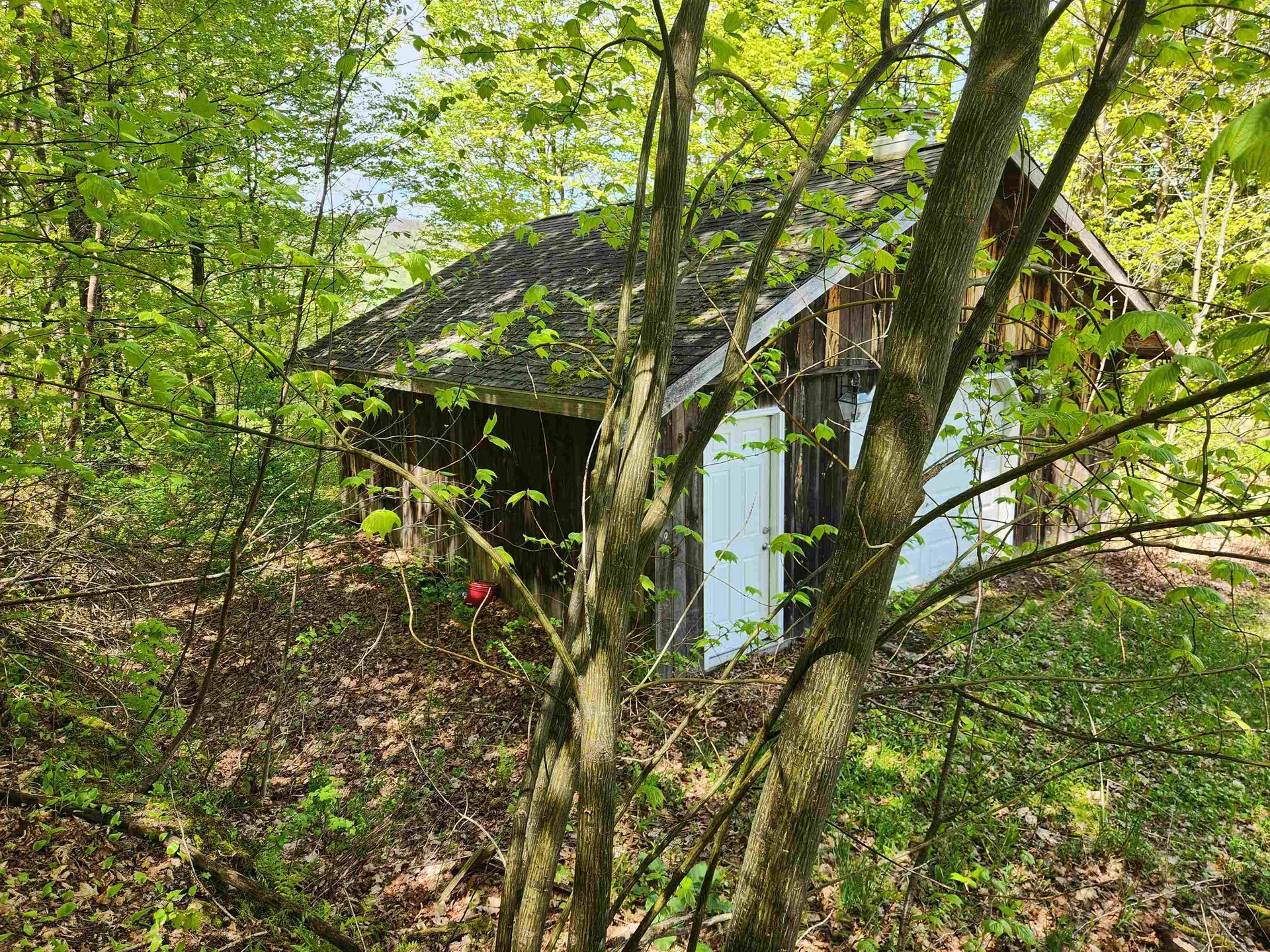 3517 Colvin Hill Road Danby VT 05739