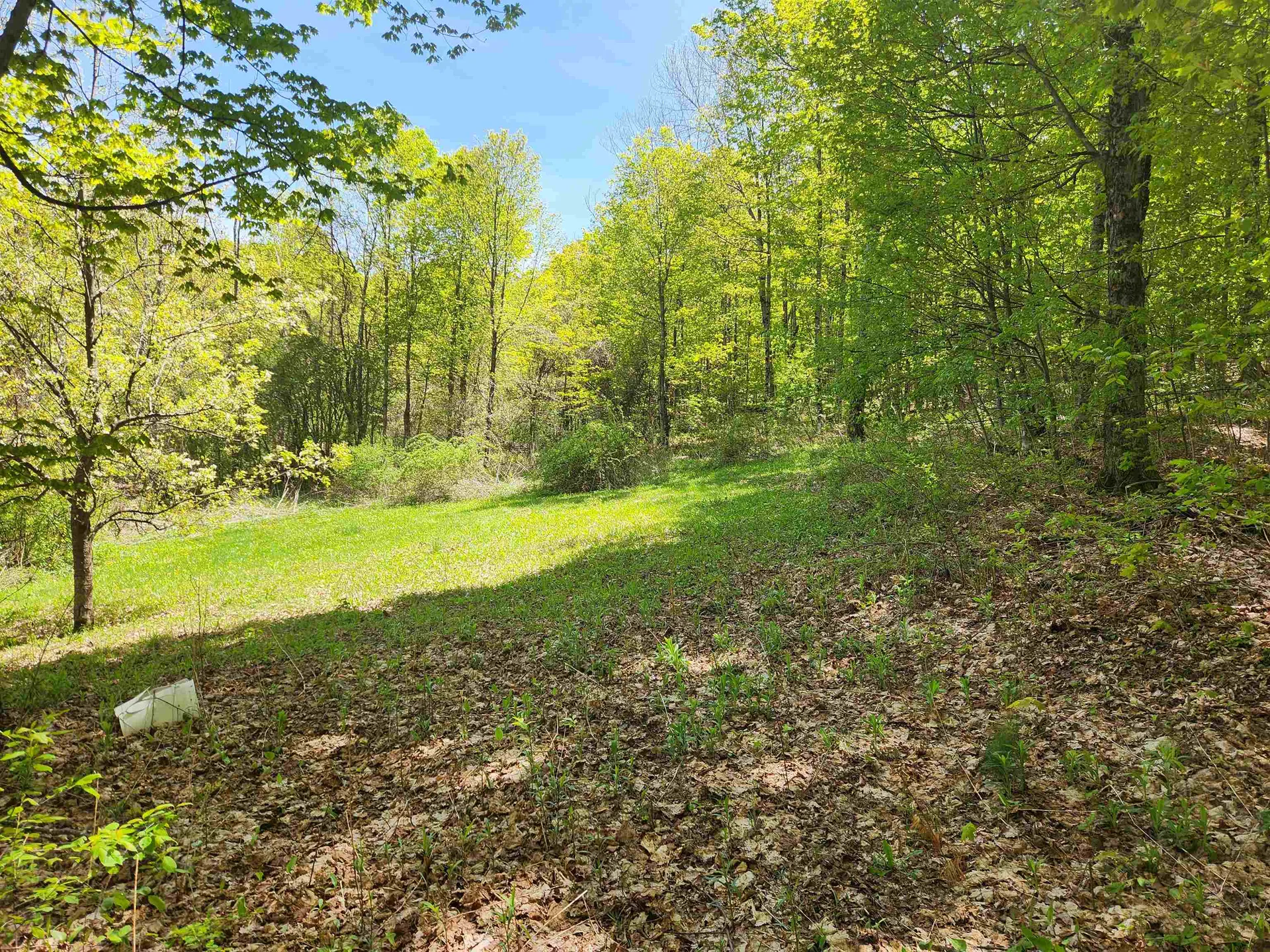 3517 Colvin Hill Road Danby VT 05739