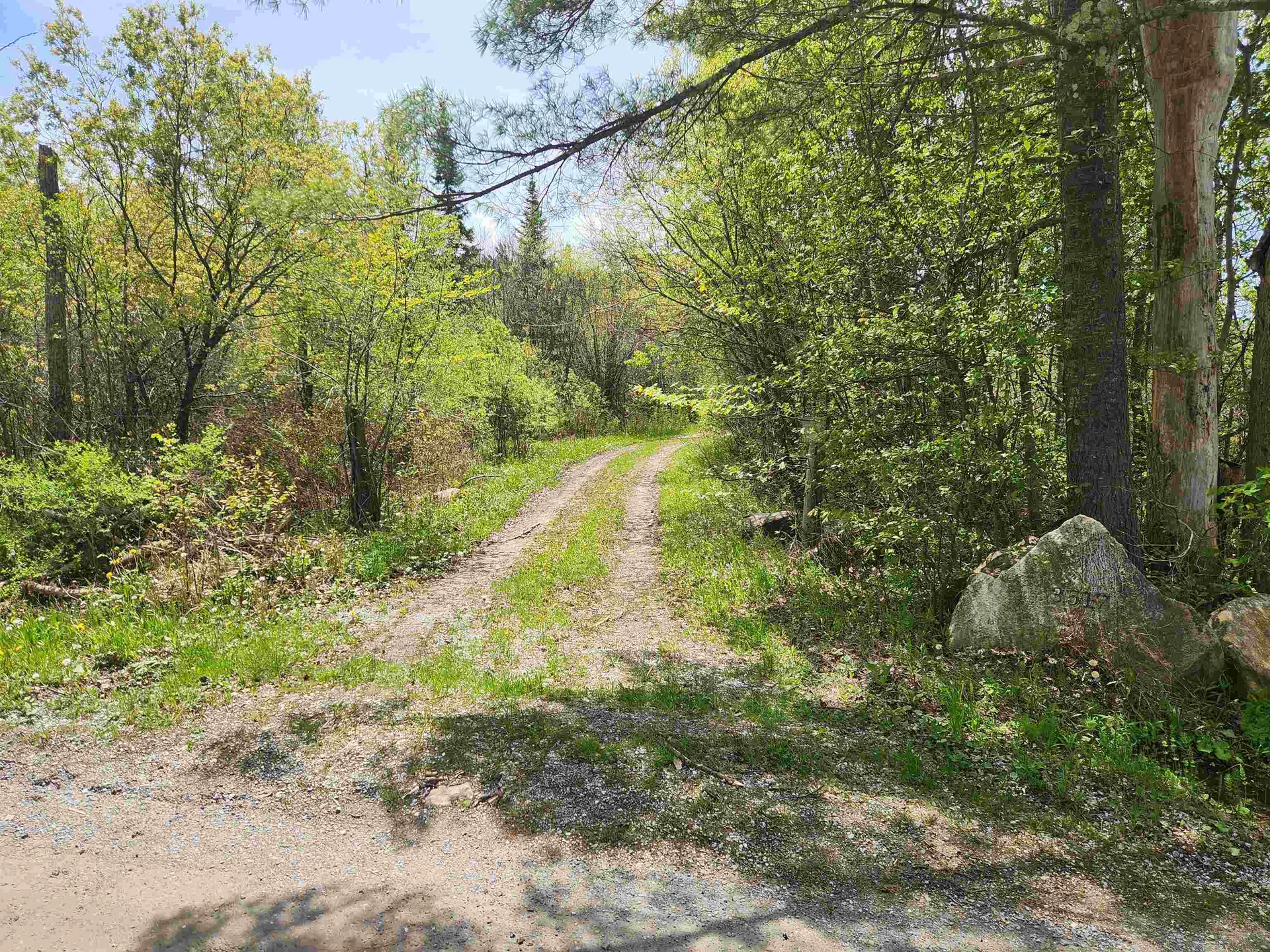 3517 Colvin Hill Road Danby VT 05739