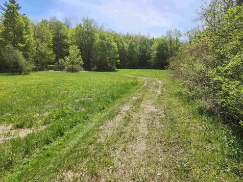3517 Colvin Hill Road Danby VT 05739