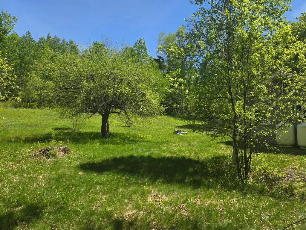 1440 Stevens Road Bridgewater VT 05035