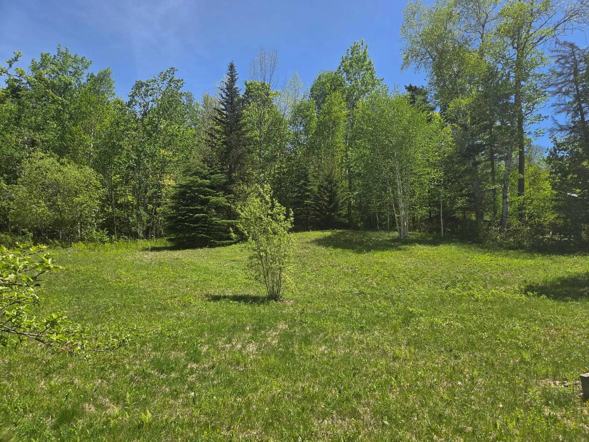 1440 Stevens Road Bridgewater VT 05035