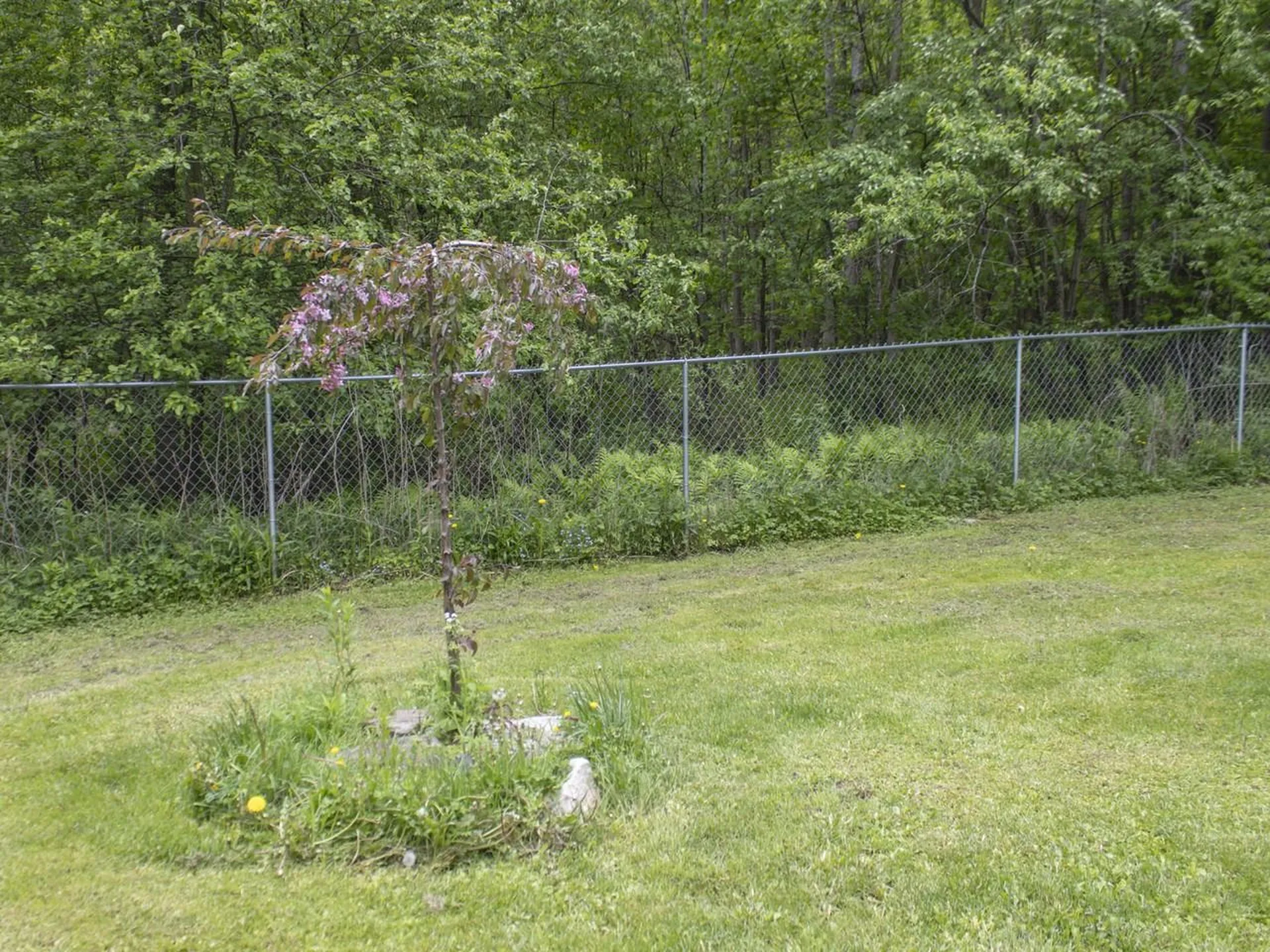 33 Mchugh Road Barre Town VT 05654
