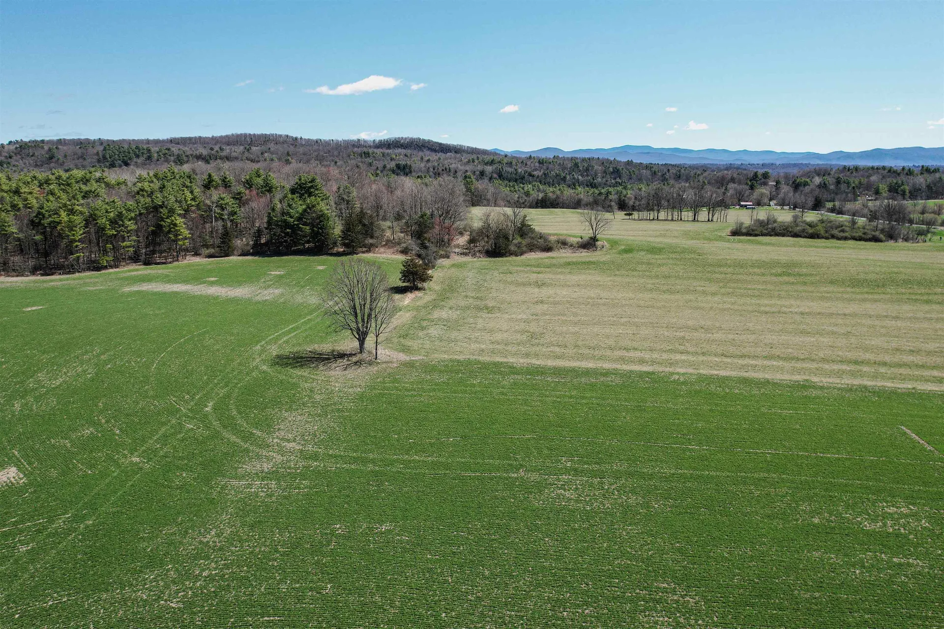 1705 Market Road Bridport VT 05734