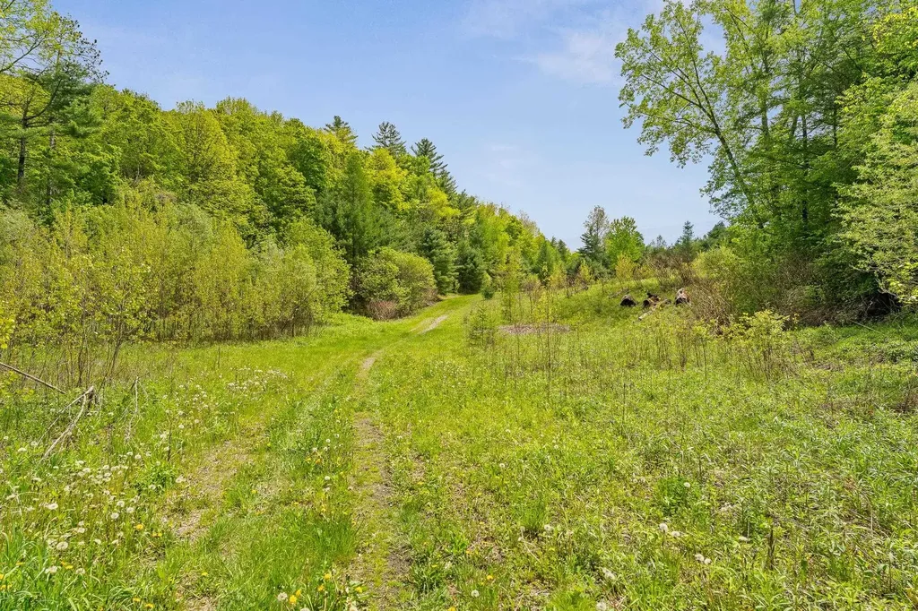 61 Academy Circle Highway Woodstock VT 05071