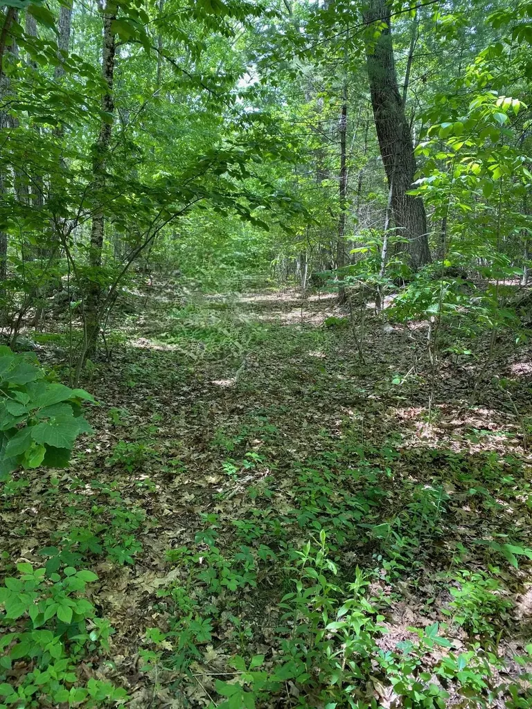 6 Johnny Hill Road Windham NH 03087