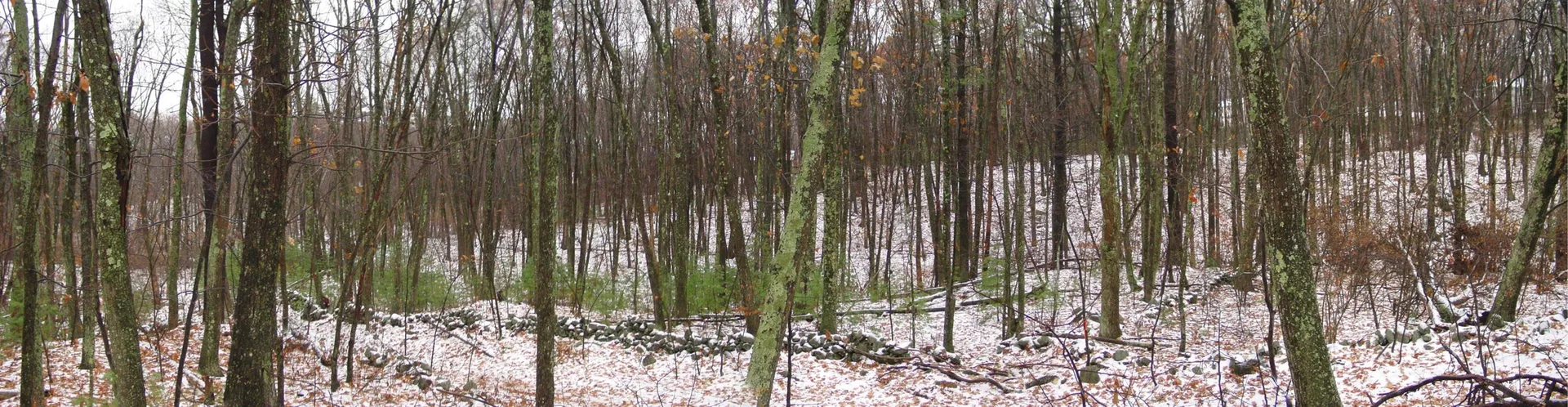 6 Johnny Hill Road Windham NH 03087