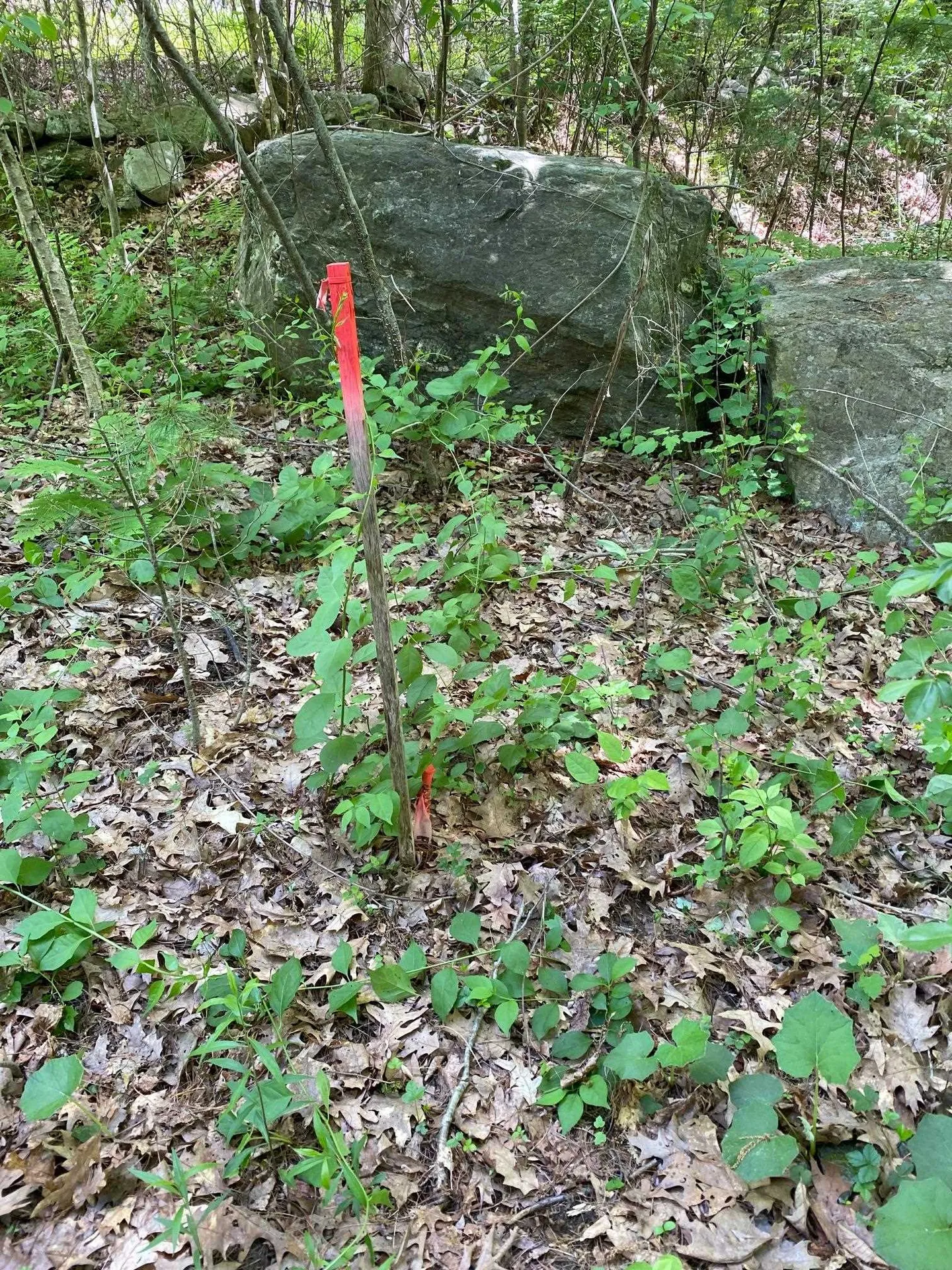 6 Johnny Hill Road Windham NH 03087