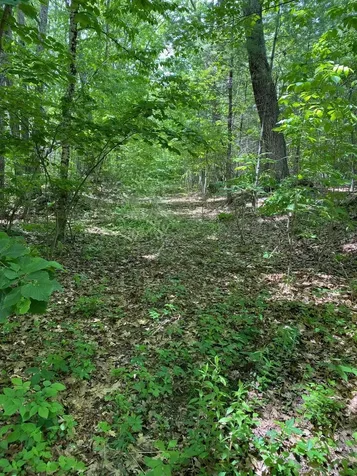 6 Johnny Hill Road Windham NH 03087