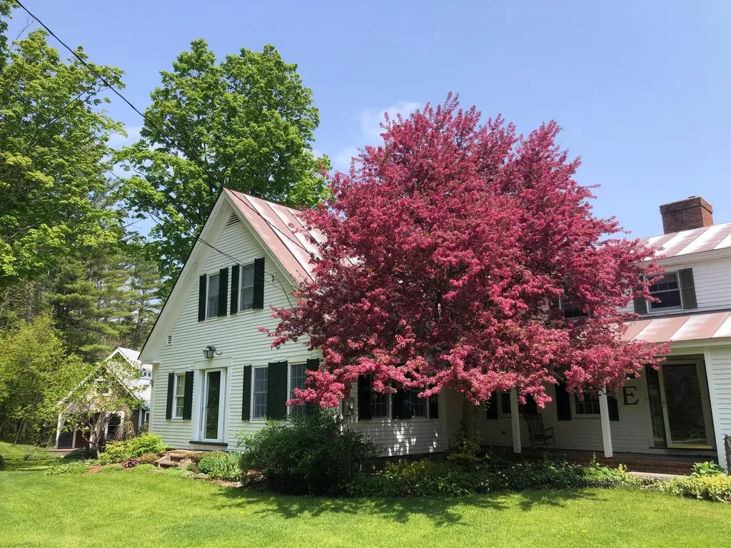 65 Clark Camp Road Cornish NH 03754