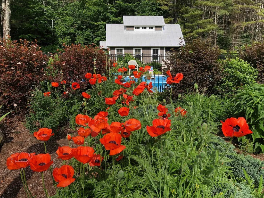 65 Clark Camp Road Cornish NH 03754
