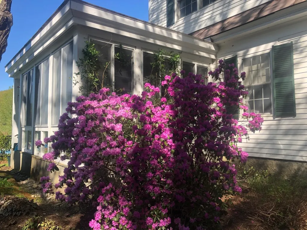 65 Clark Camp Road Cornish NH 03754
