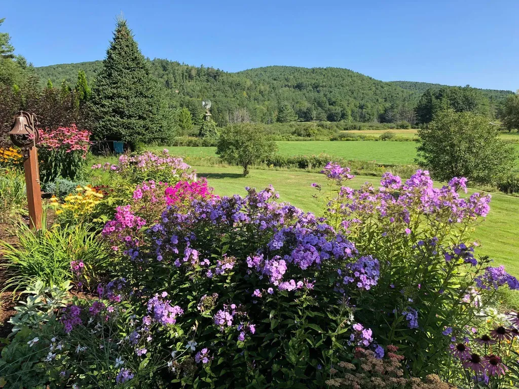 65 Clark Camp Road Cornish NH 03754
