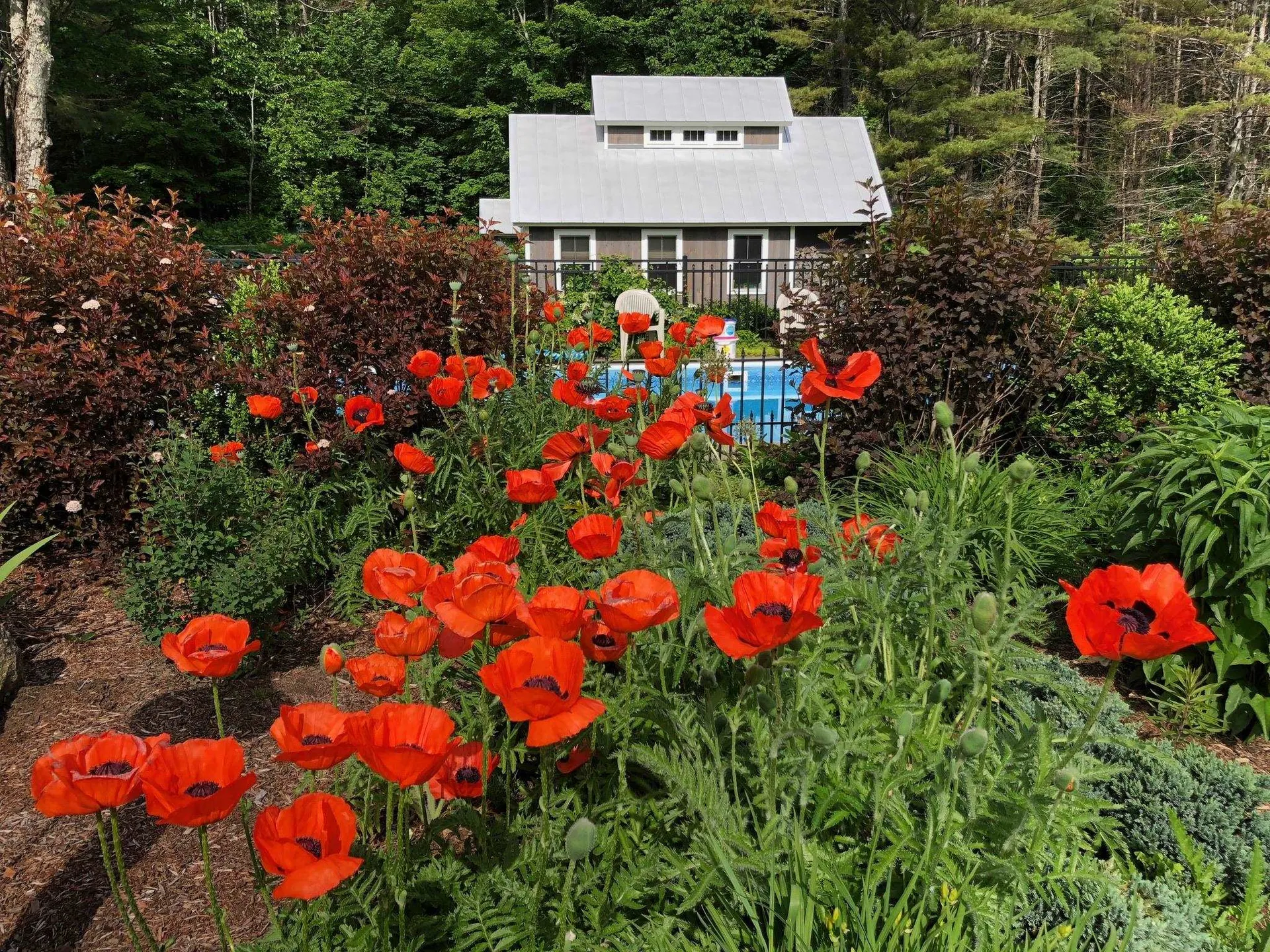 65 Clark Camp Road Cornish NH 03754