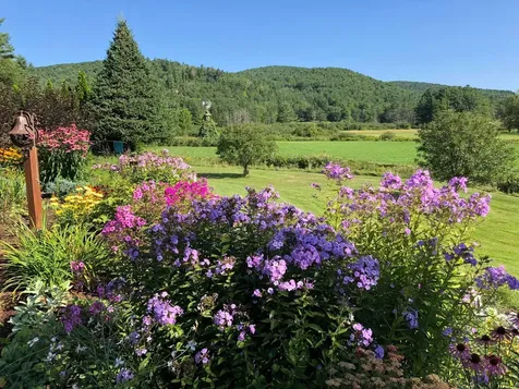 65 Clark Camp Road Cornish NH 03754