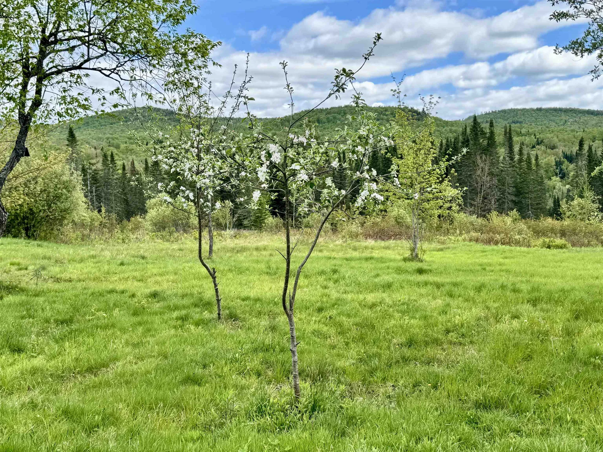 26 Ad Chase Road Pittsburg NH 03597