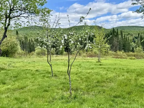 26 Ad Chase Road Pittsburg NH 03597