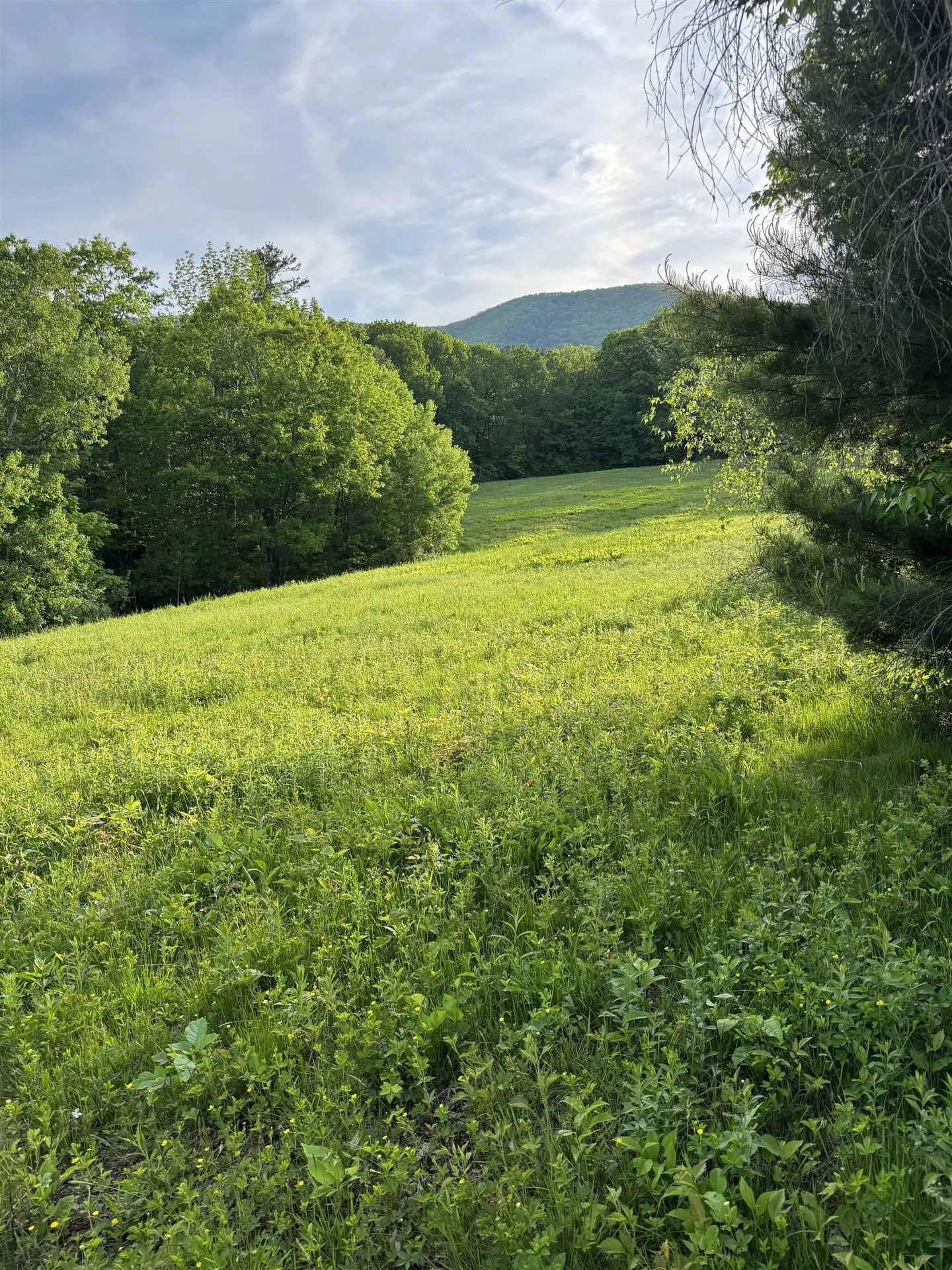 00 Montgomery Road Pownal VT 05201