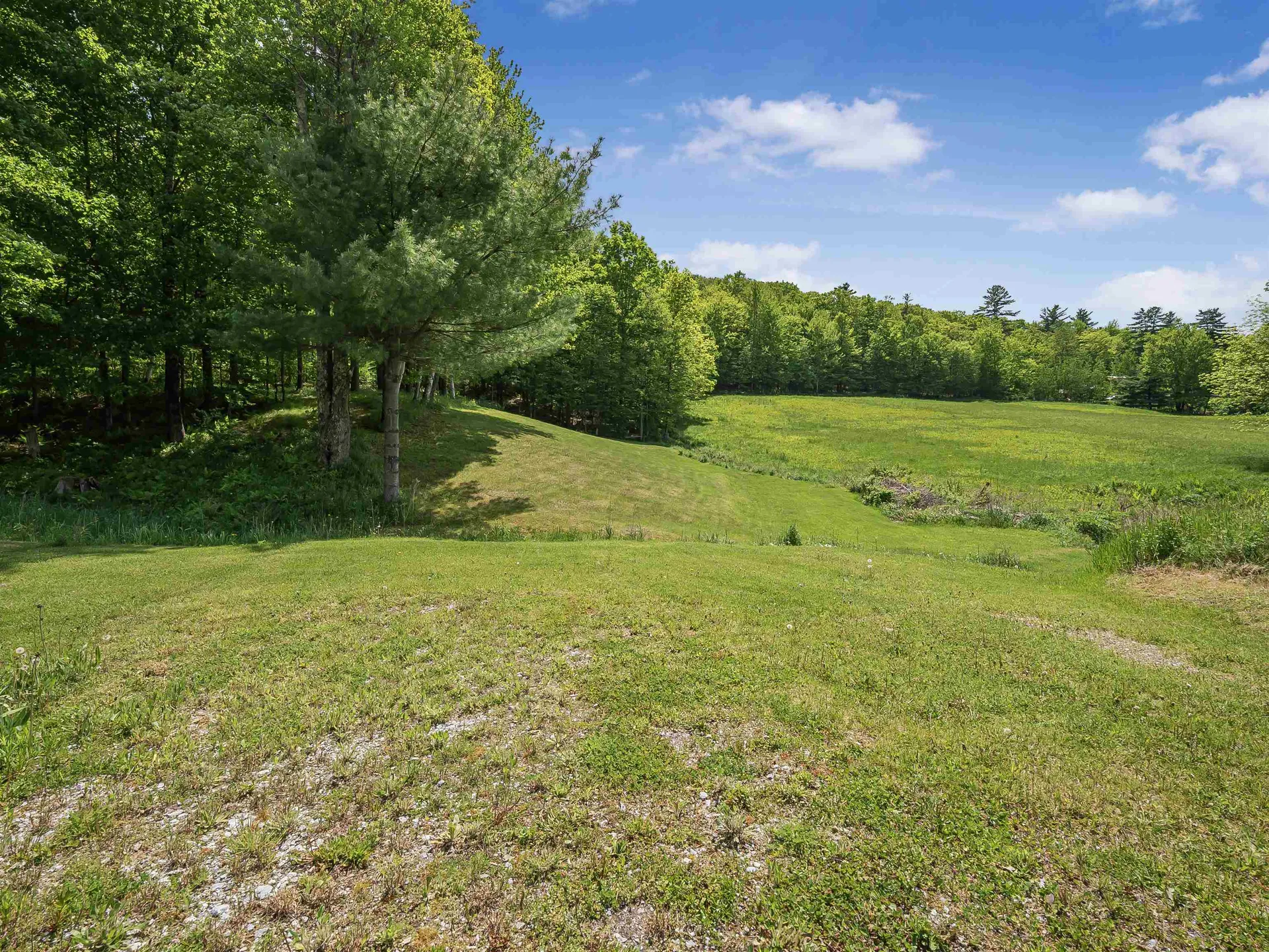 174 Biddie Knob Road Hubbardton VT 05735