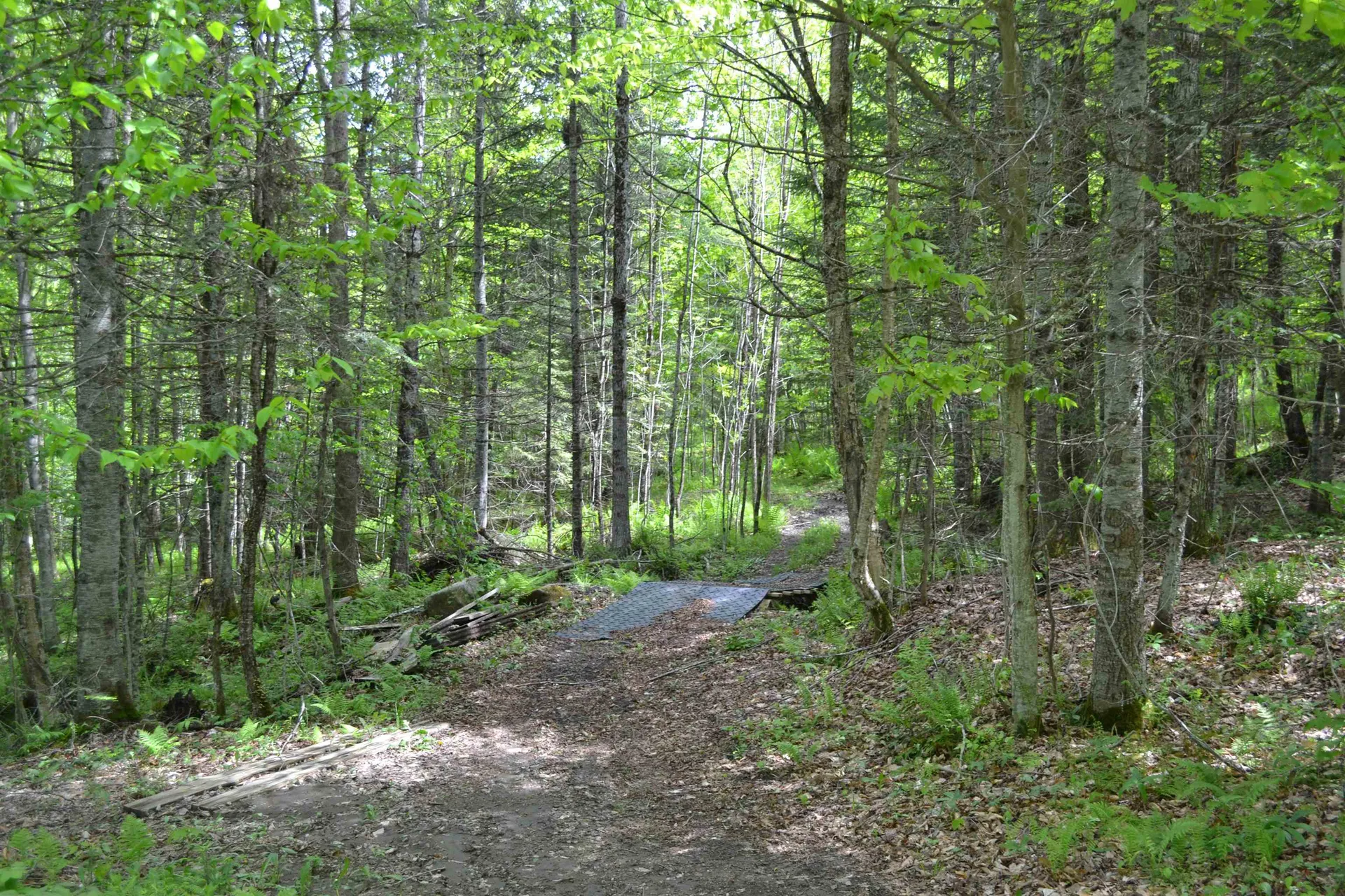 1688 Vt Route 5a Charleston VT 05872