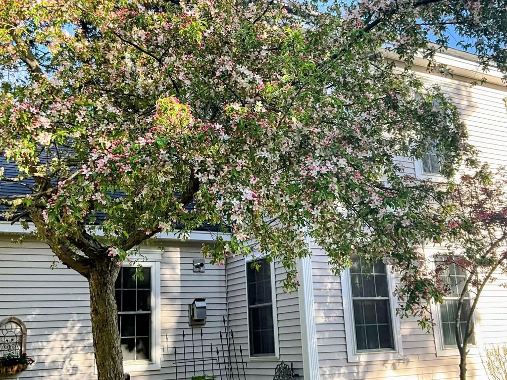 58 Pointe Trinity Drive Strafford NH 03884