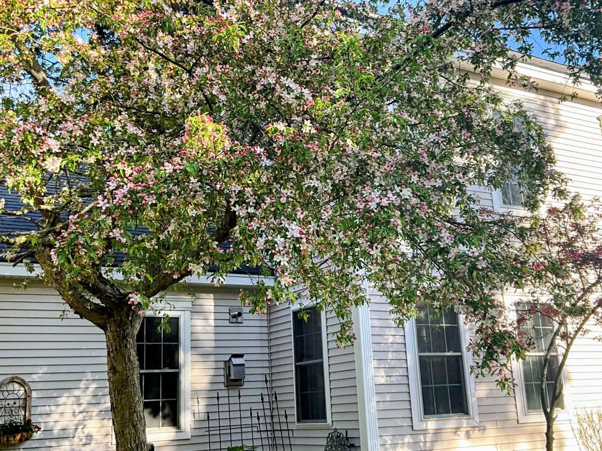 58 Pointe Trinity Drive Strafford NH 03884