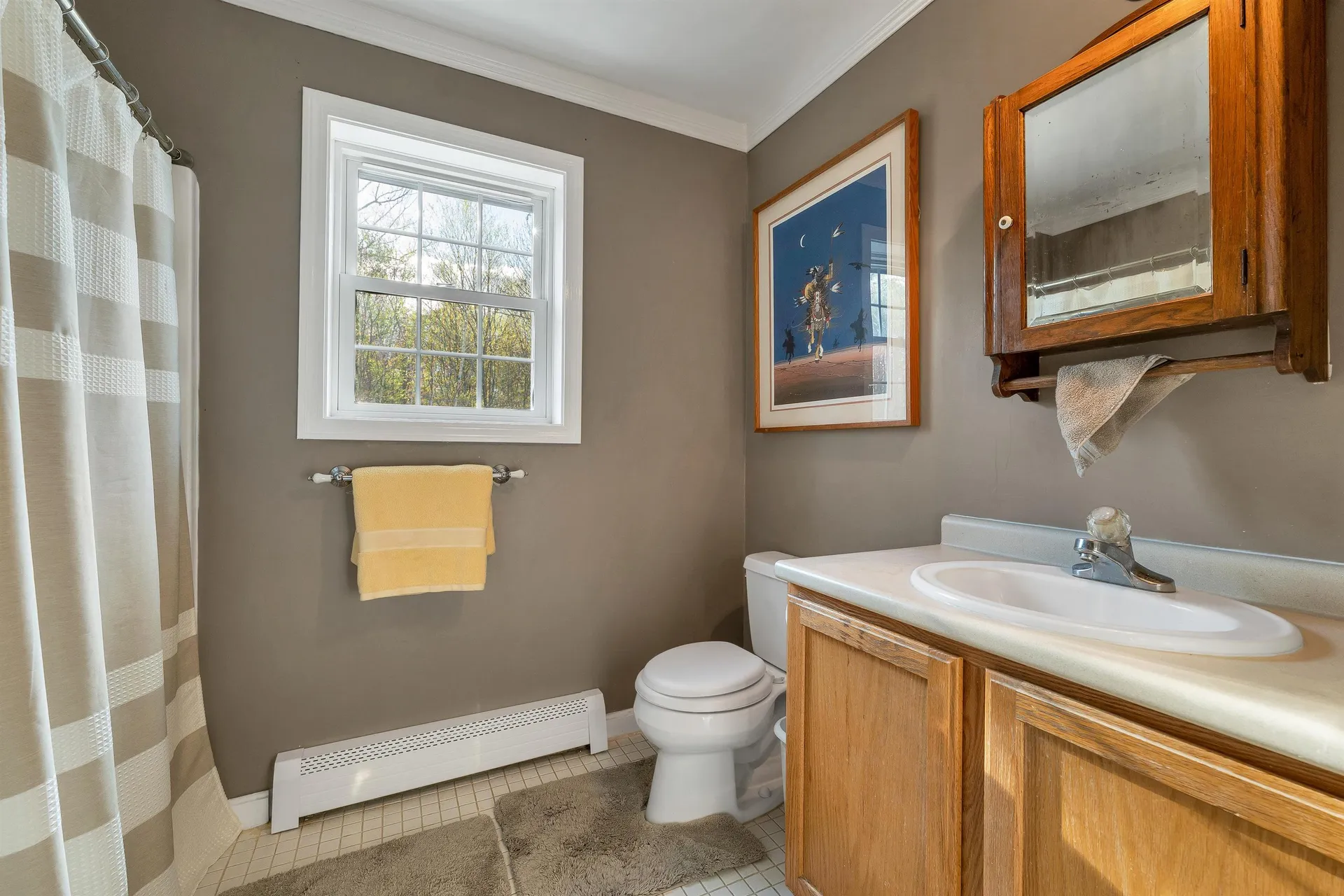 58 Pointe Trinity Drive Strafford NH 03884