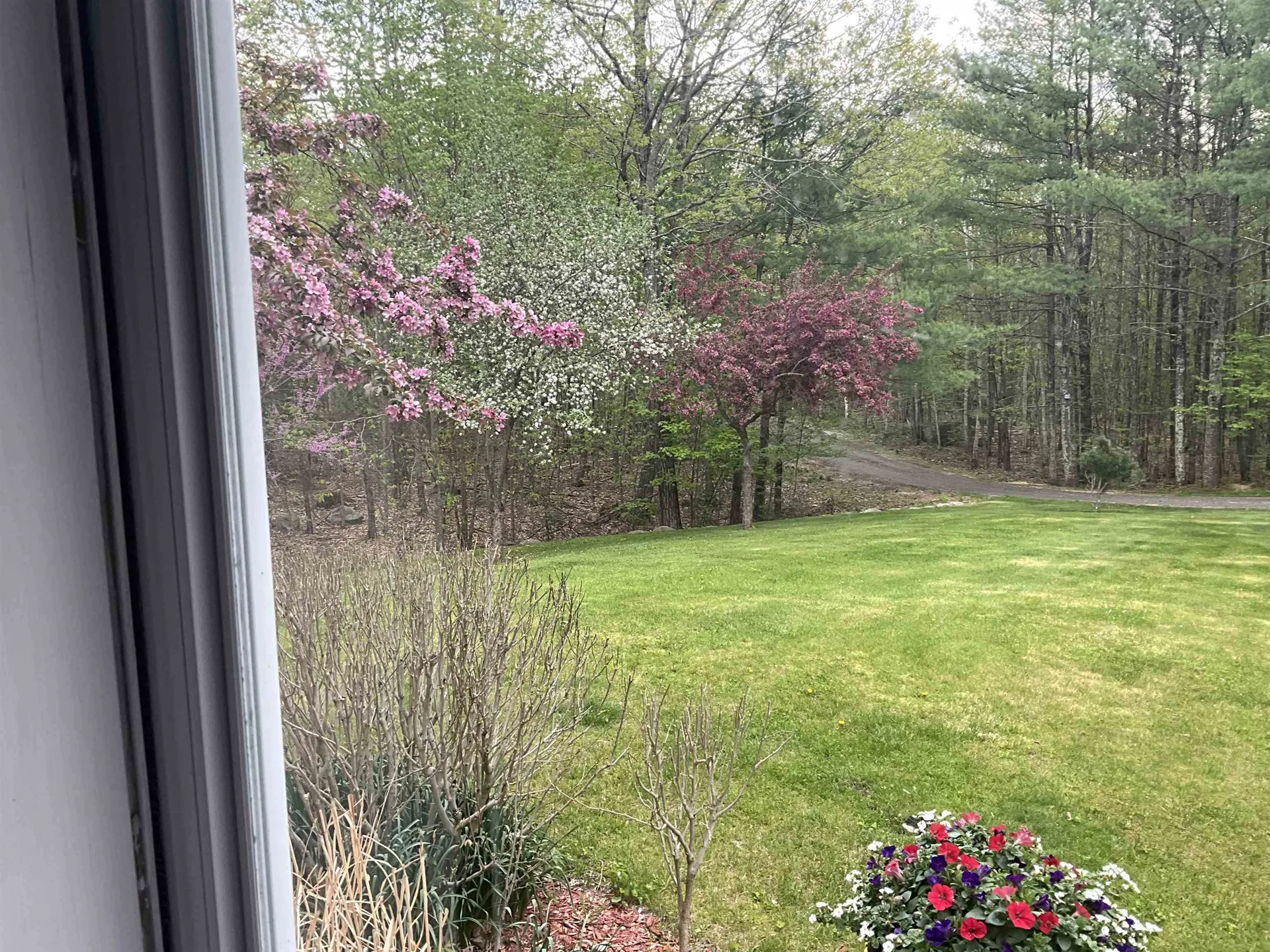58 Pointe Trinity Drive Strafford NH 03884