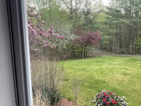 58 Pointe Trinity Drive Strafford NH 03884