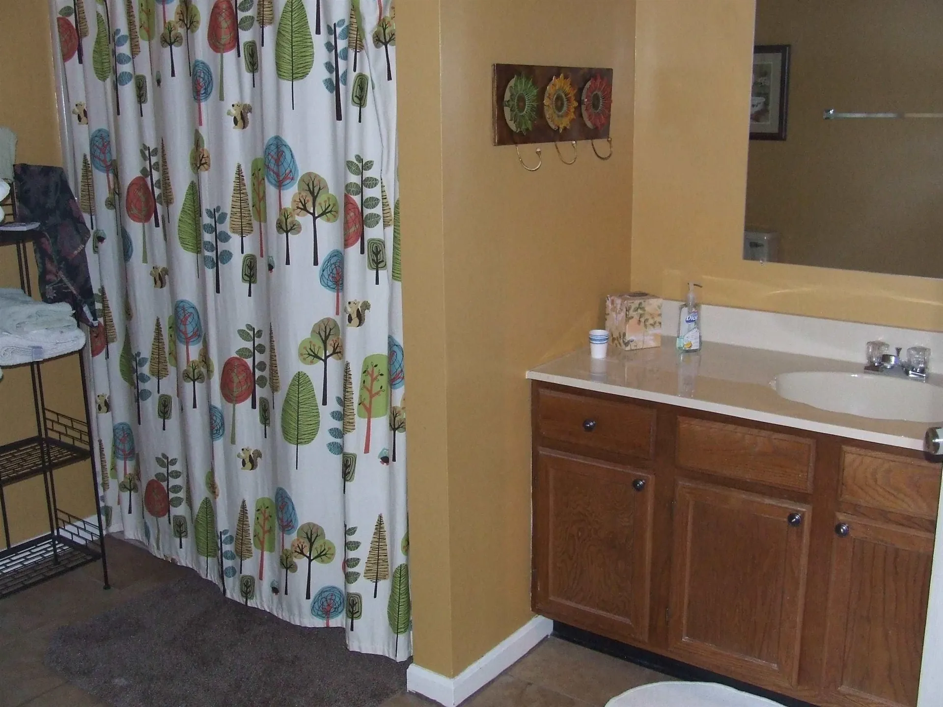 6 Hayes Drive Woodstock NH 03262