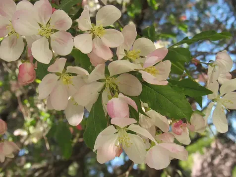 96 Stagecoach Drive Newport City VT 05855