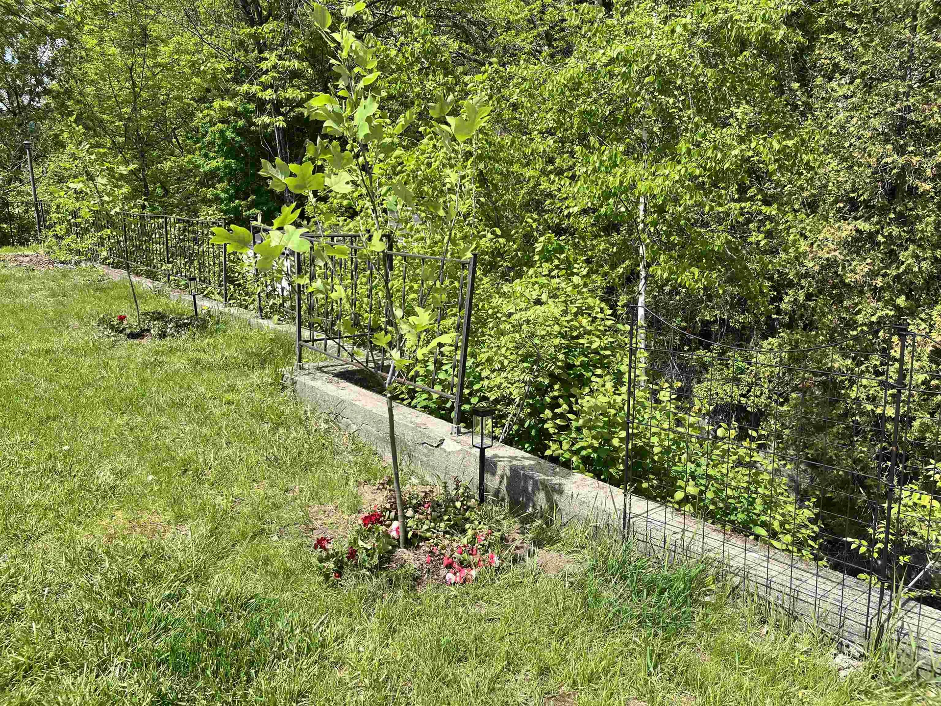 88 Mill Hill Barnet VT 05821